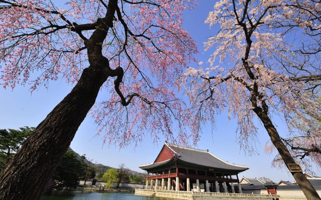 Tour DMZ kèm ăn trưa, tham quan Cung điện Gyeongbokgung và Insa-dong – từ Seoul